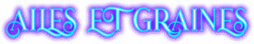 메이저사이트 ailes et graines_logo